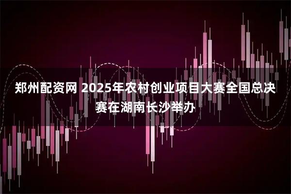 郑州配资网 2025年农村创业项目大赛全国总决赛在湖南长沙举办